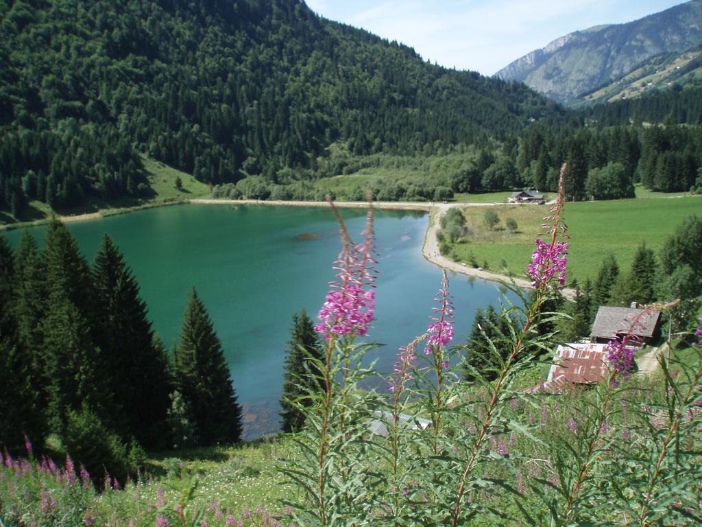 Le Clos Des Fontaines, A 5 Mn Du Lac Thonon-les-Bains Ngoại thất bức ảnh